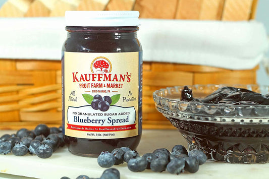Blueberry Jam Spread, No Granulated Sugar Added, All Natural