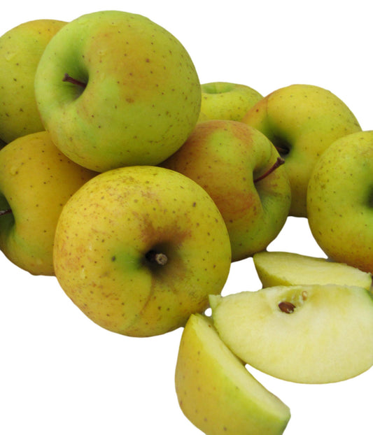 Fresh Goldrush Apples, Pennsylvania-Grown