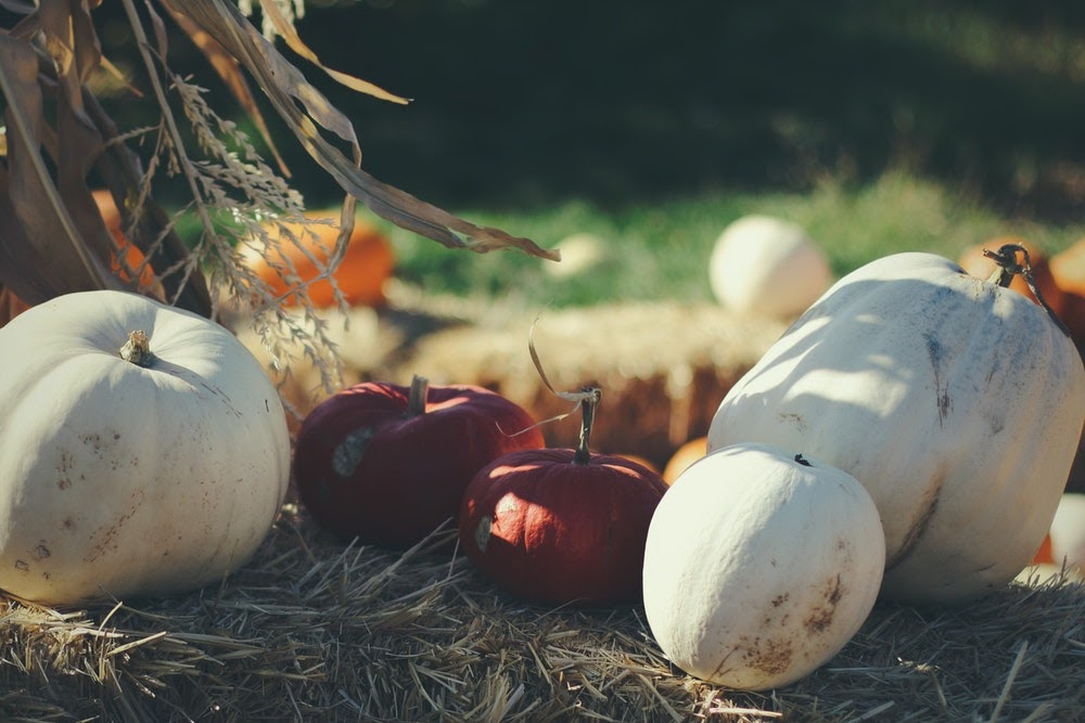 Give Thanks!