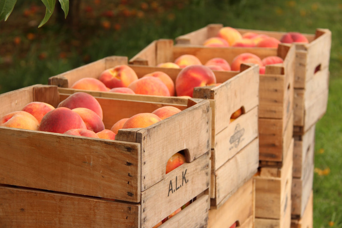 Reducing Food Waste is Good For Everyone