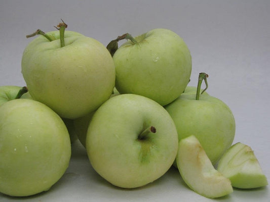 The Yellow Transparent Apple