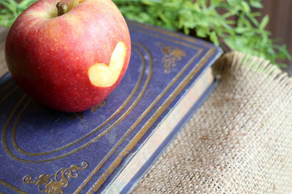 Fresh Gala Apples, Hand-Picked, Grown in Our Own Orchard