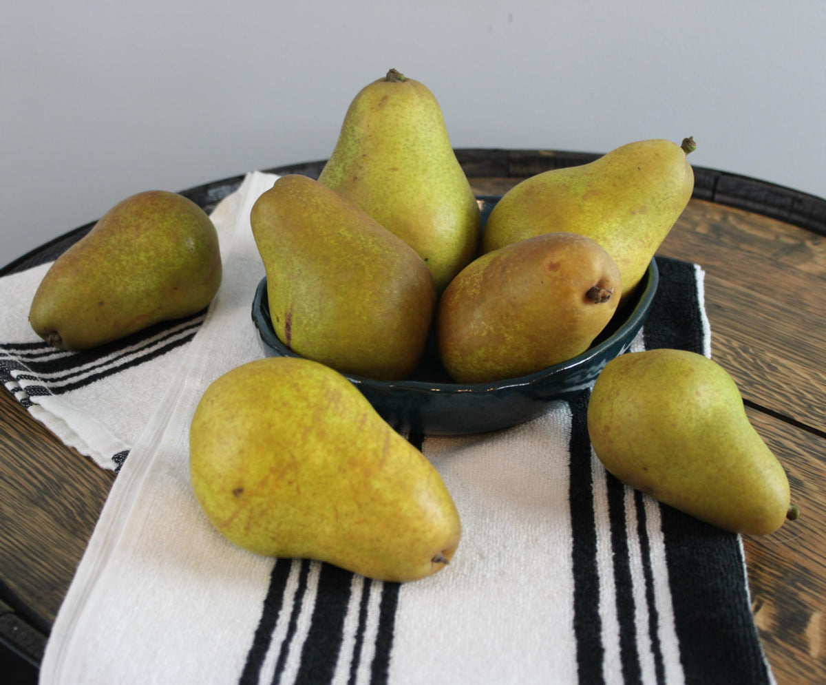 Fresh Magness Pears, Hand-Picked In Our Own Orchard