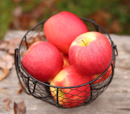 Nittany Apples