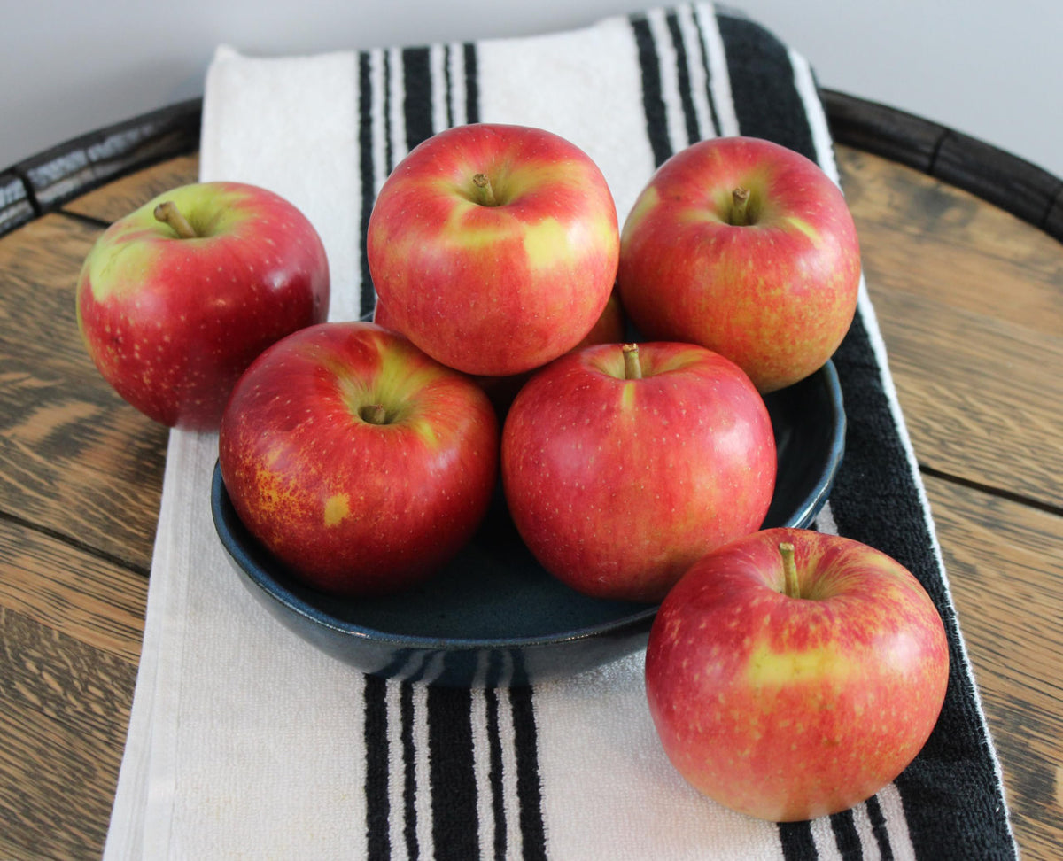 Kauffman Orchards Fresh Autumn Crisp Apples, Wax-Free