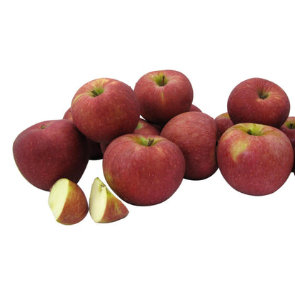Fresh Stayman Apples, Hand-Picked in Our Lancaster County Orchard