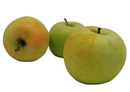 Crispin Apples