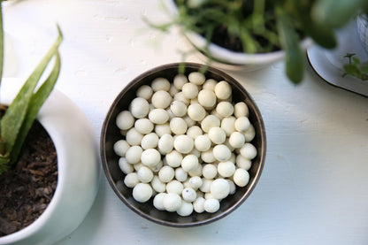 Yogurt Covered Raisins in Bulk