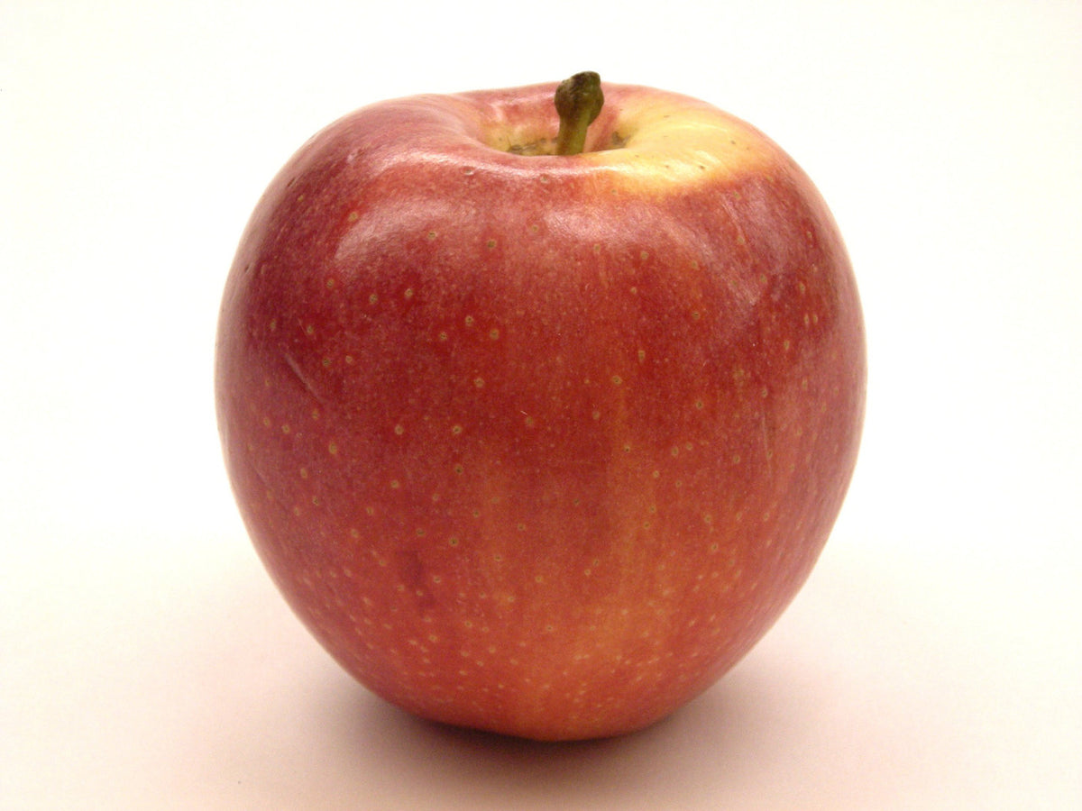 Fresh Gala Apples, Hand-Picked, Grown in Our Own Orchard