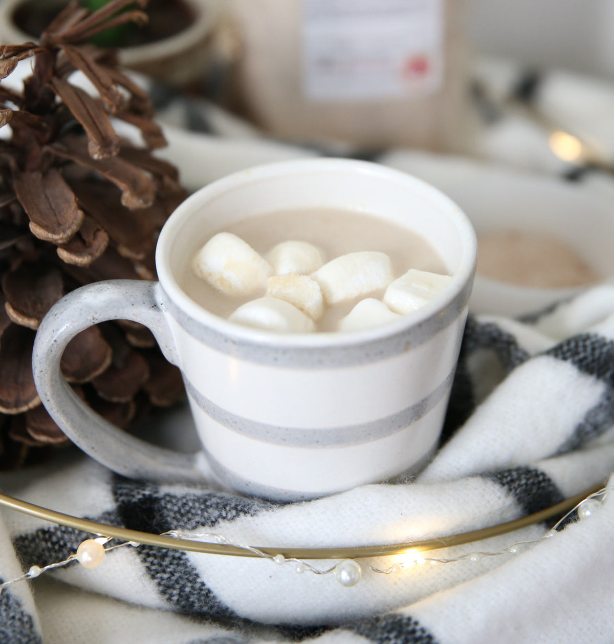 French Vanilla Instant Cappuccino Hot Drink Mix