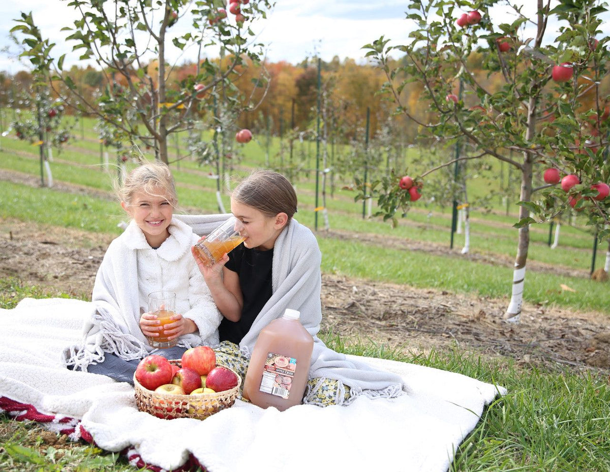 Homemade, Fresh-Pressed Apple Cider