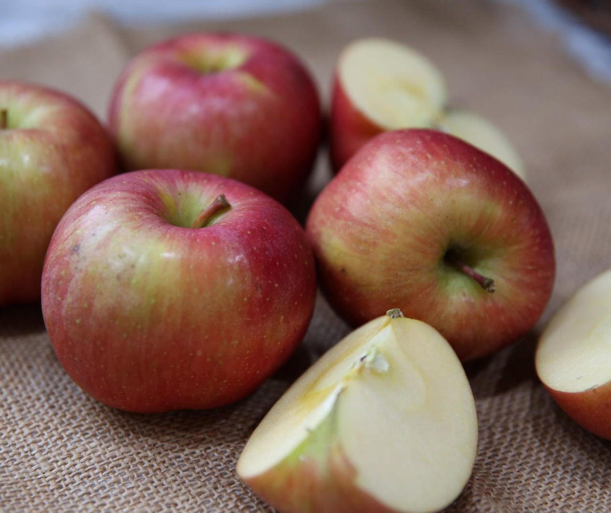 Evercrisp Apples