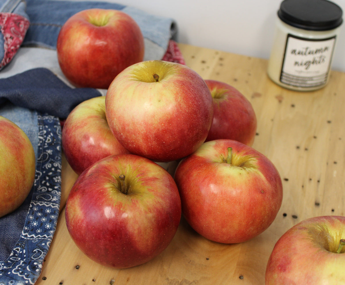 Fresh Idared Apples, Hand-Picked In Our Own Orchard