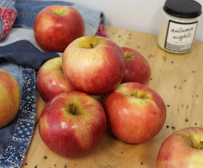 Fresh Idared Apples, Hand-Picked In Our Own Orchard