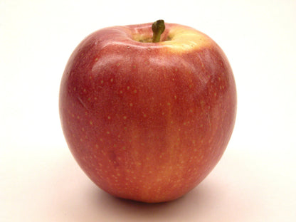 Gala Apples