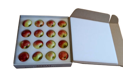 Sansa Apples