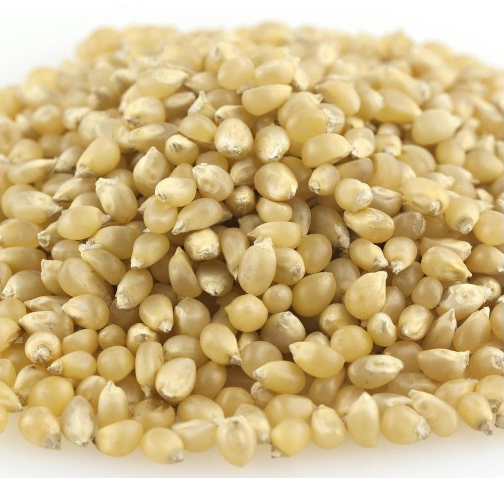 Bulk White Popcorn Kernels