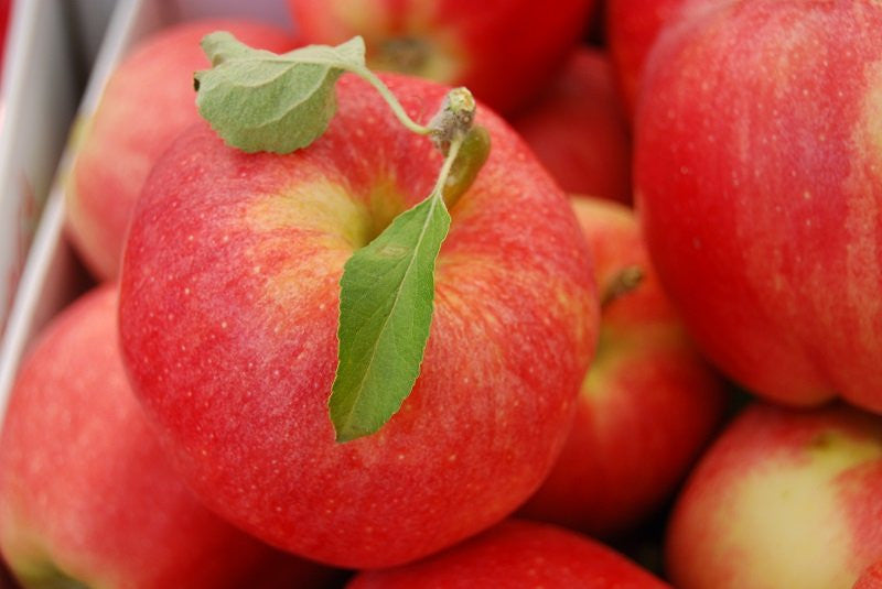 Gala Apples