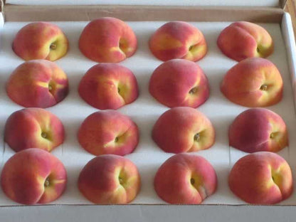 Kauffman Orchards Fresh Peaches, Home-Grown in Lancaster County, Pennsylvania