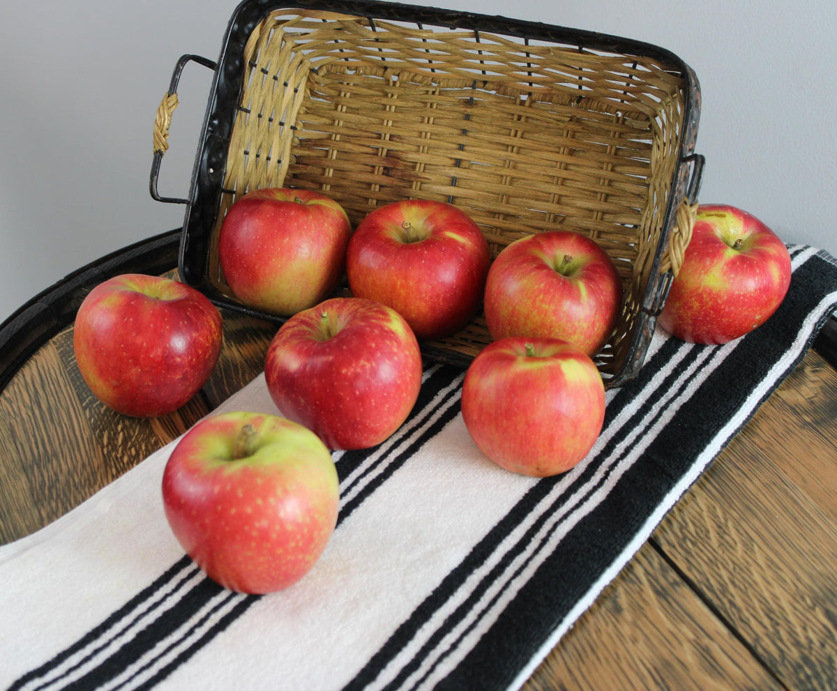 Kauffman Orchards Fresh Autumn Crisp Apples, Wax-Free
