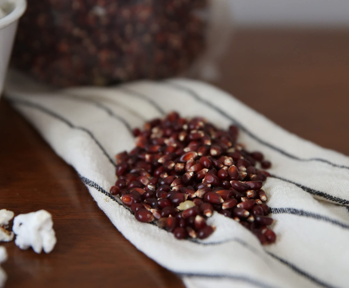 Red Popcorn Kernels in Bulk