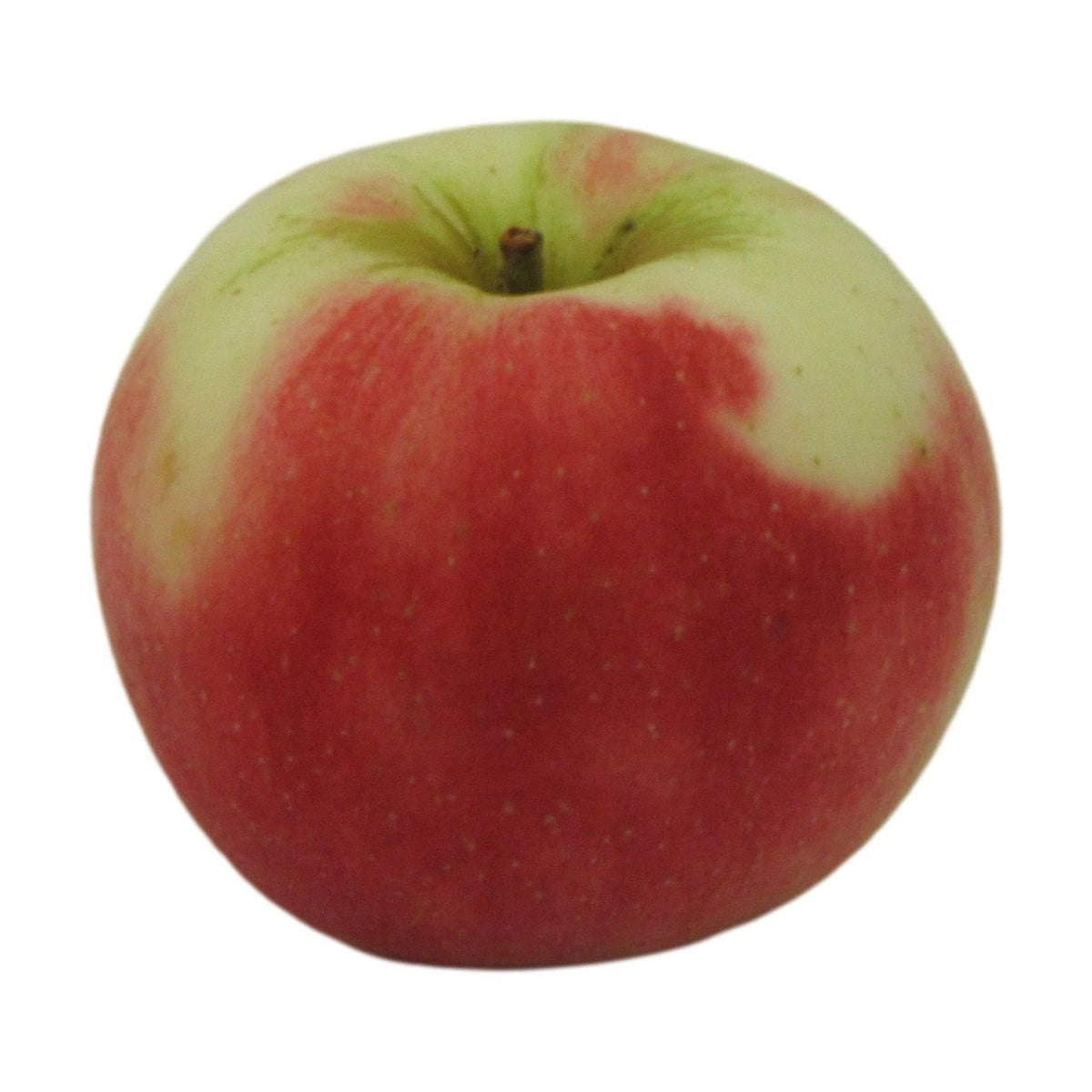 Sansa Apples
