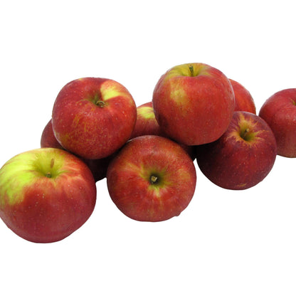 Fresh Jonathan Apples, Medium Size