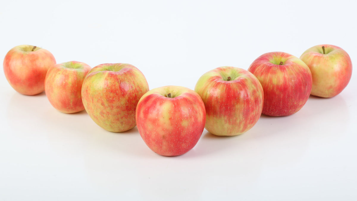 Homegrown, Fresh-Picked Honeycrisp Apples