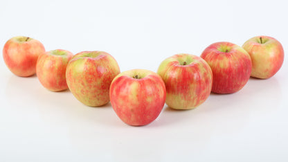 Homegrown, Fresh-Picked Honeycrisp Apples