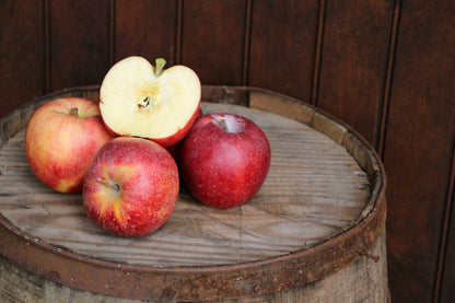 Fresh Gala Apples, Hand-Picked, Grown in Our Own Orchard