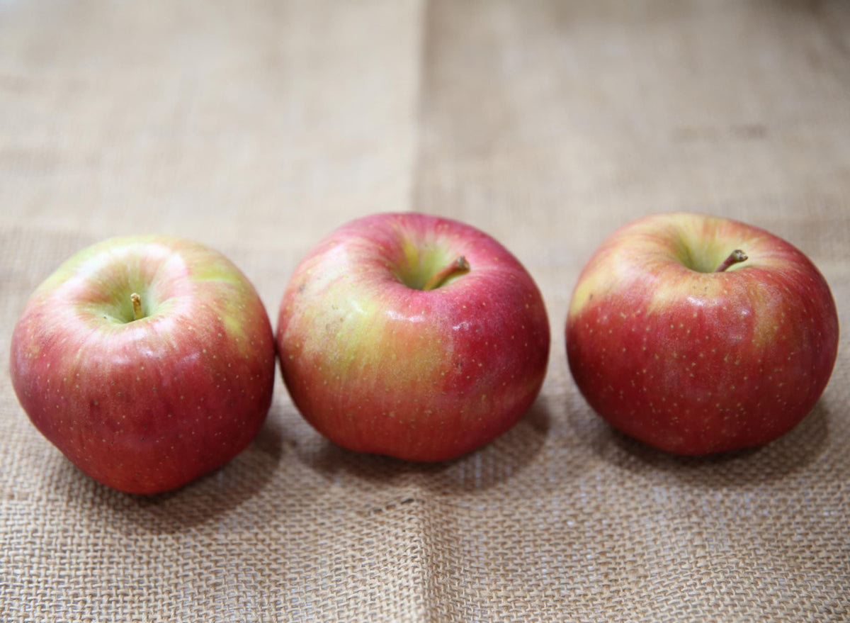 Evercrisp Apples