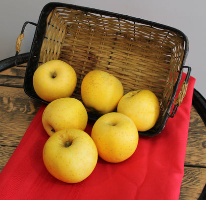 Fresh Blondee Apples, Hand-Picked In Our Own Orchard