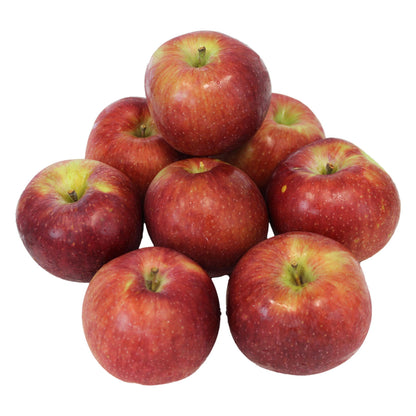 Fresh Empire Apples, Hand-Picked In Our Orchard