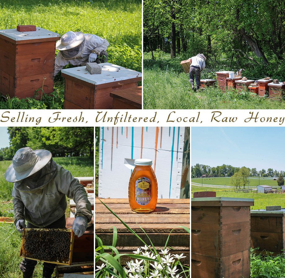 Raspberry Blossom Honey by Welsh Mountain Apiaries, Raw and Unfiltered, Wild Foraged Honey