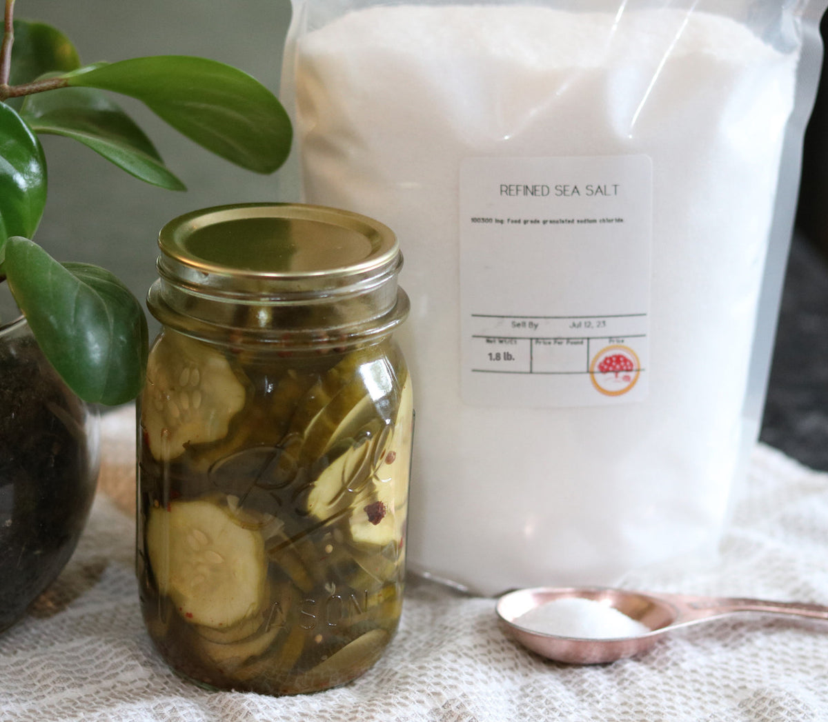 Sea Salt In Bulk