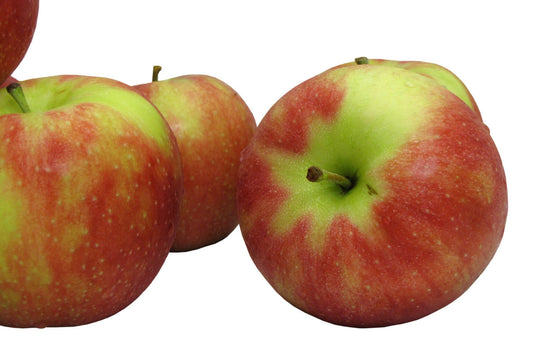 Jonagold Apples