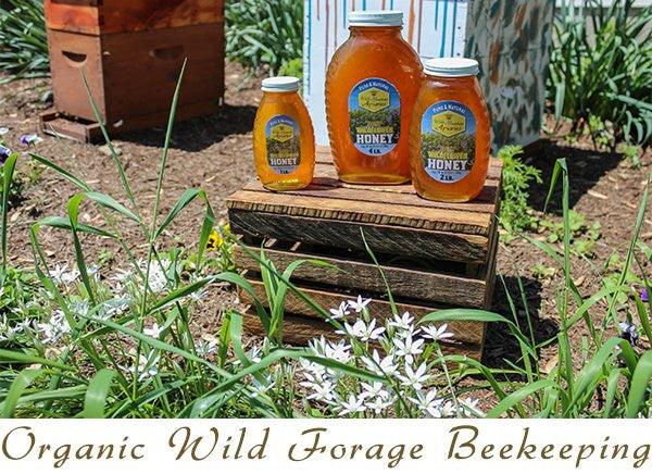 Raspberry Blossom Honey by Welsh Mountain Apiaries, Raw and Unfiltered, Wild Foraged Honey