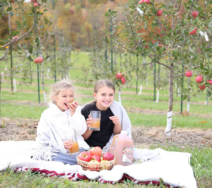 Award-Winning Homemade Fresh-Pressed Apple Cider, Frozen for Shipping