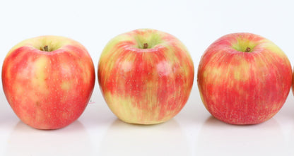 Honeycrisp Apples