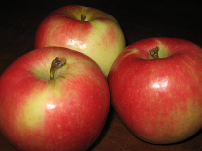 Sansa Apples