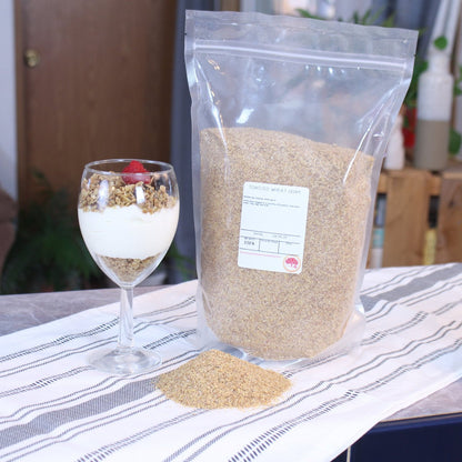 Toasted Wheat Germ, Non-GMO