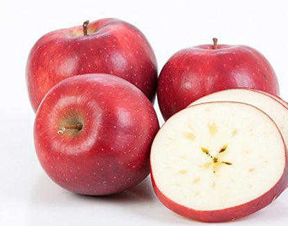 Kauffman Orchards Fresh Red Delicious Apples, Hand-Picked in Our Lancaster County Orchard