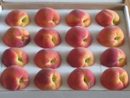 Kauffman Orchards Sun-Ripened Early Peaches