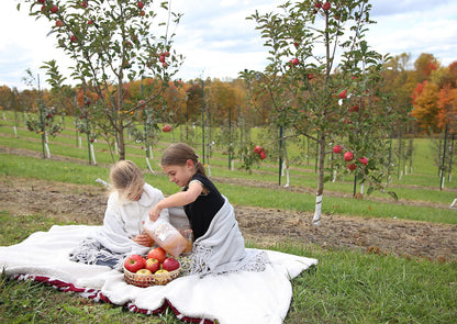 Award-Winning Homemade Fresh-Pressed Apple Cider, Frozen for Shipping