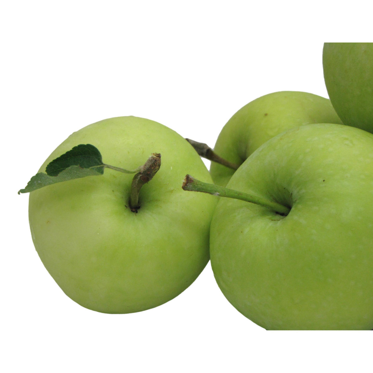 Kauffman Orchards Fresh-Picked Earligold Apples