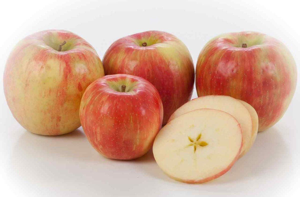 Homegrown, Fresh-Picked Honeycrisp Apples