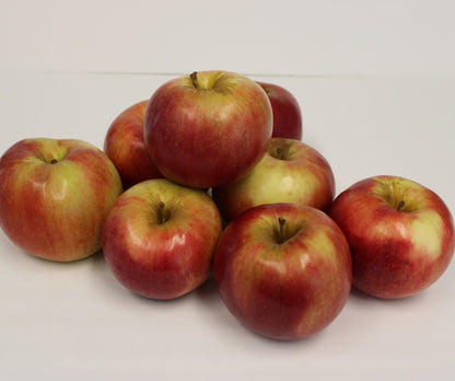 Fresh Idared Apples, Hand-Picked In Our Own Orchard