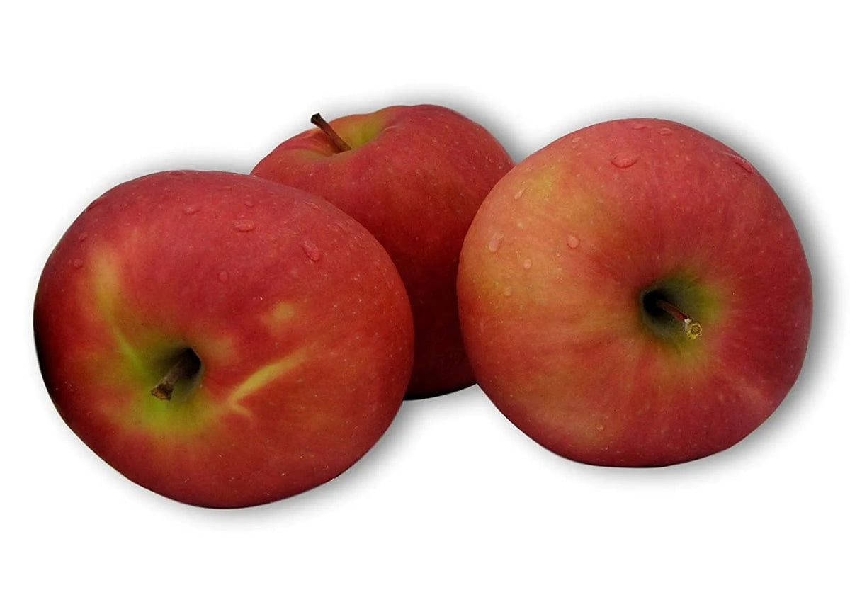 Fresh-Picked Pink Lady Apples
