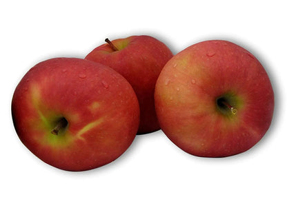 Fresh-Picked Pink Lady Apples