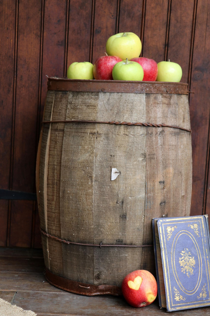 Kauffman Orchards Fresh Golden Delicious Apples, Hand-Picked in Our Lancaster County Orchard